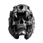 bague crâne indien